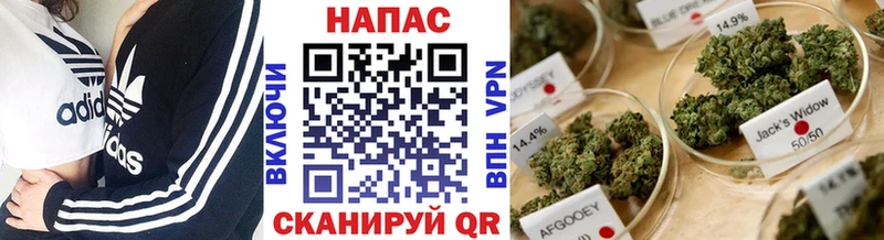 цены наркотик Липки Бошки Шишки семена